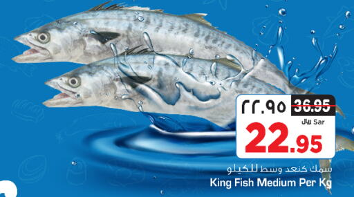  King Fish  in Nesto in KSA, Saudi Arabia, Saudi - Riyadh