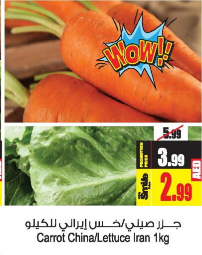  Carrot  in Ansar Gallery in UAE - Dubai