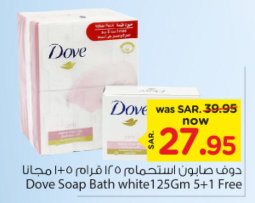 DOVE   in Nesto in KSA, Saudi Arabia, Saudi - Al Majmaah