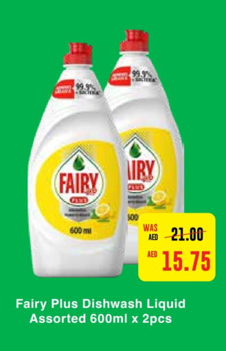 FAIRY   in Earth Supermarket in UAE - Abu Dhabi