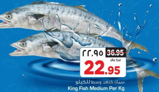  King Fish  in Nesto in KSA, Saudi Arabia, Saudi - Riyadh