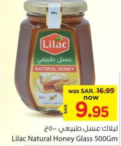 LILAC Honey  in Nesto in KSA, Saudi Arabia, Saudi - Riyadh