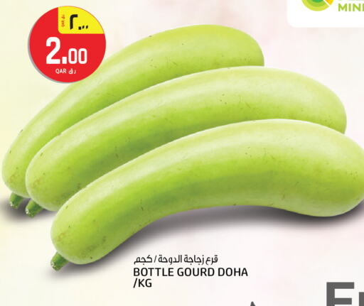  Gourd  in Kenz Mini Mart in Qatar - Al-Shahaniya