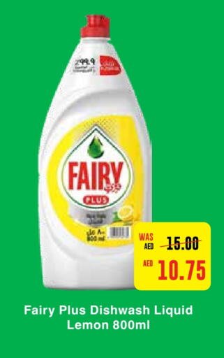 FAIRY   in Earth Supermarket in UAE - Abu Dhabi