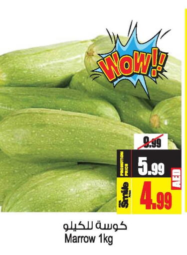  Zucchini  in Ansar Gallery in UAE - Dubai