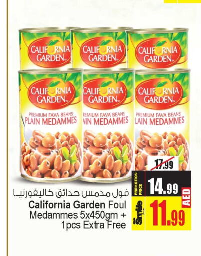 CALIFORNIA GARDEN Fava Beans  in Ansar Gallery in UAE - Dubai