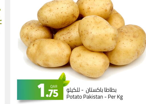  Potato  in Masskar Hypermarket in Qatar - Al-Shahaniya