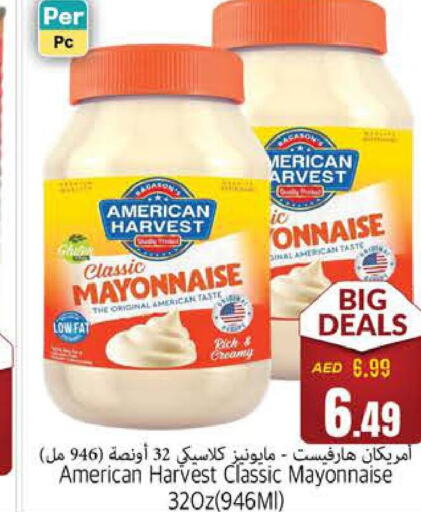 AMERICAN HARVEST Mayonnaise  in PASONS GROUP in UAE - Fujairah