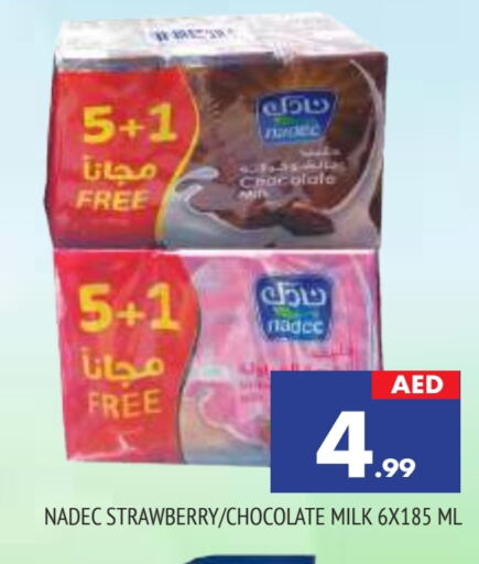 NADEC Flavoured Milk  in AL MADINA in UAE - Sharjah / Ajman