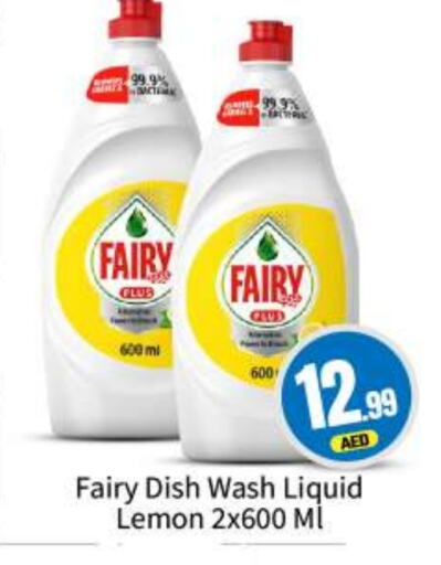 FAIRY   in BIGmart in UAE - Abu Dhabi