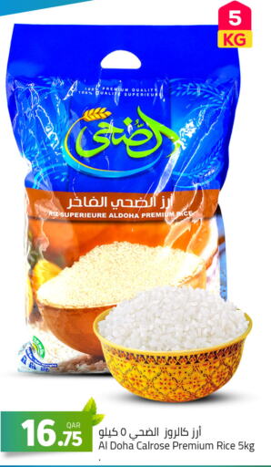  Calrose Rice  in Masskar Hypermarket in Qatar - Al-Shahaniya