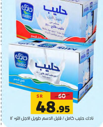 NADEC Long Life / UHT Milk  in Al Amer Market in KSA, Saudi Arabia, Saudi - Al Hasa