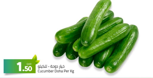  Cucumber  in Masskar Hypermarket in Qatar - Al-Shahaniya