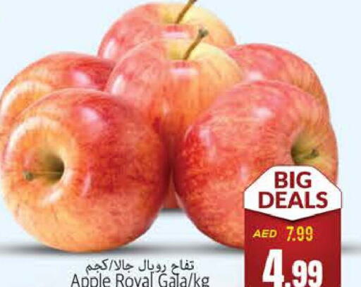  Apples  in PASONS GROUP in UAE - Fujairah