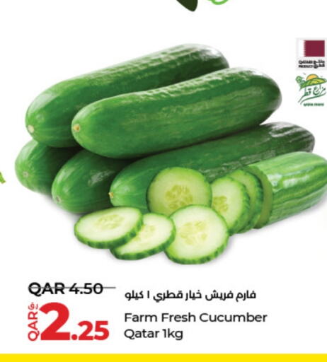  Cucumber  in LuLu Hypermarket in Qatar - Doha