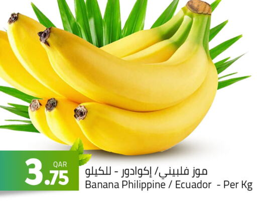  Banana  in Masskar Hypermarket in Qatar - Al-Shahaniya