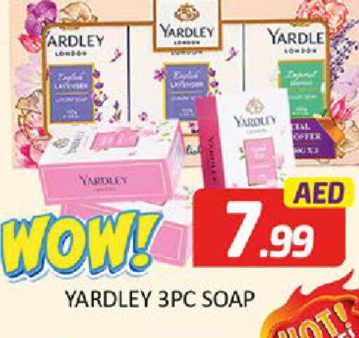 YARDLEY   in Al Madina  in UAE - Dubai