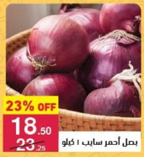 Onion