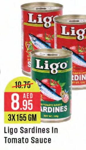  Sardines - Canned  in West Zone Supermarket in UAE - Dubai