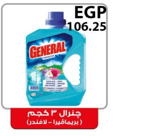  General Cleaner  in El-Hawary Market in Egypt - Cairo