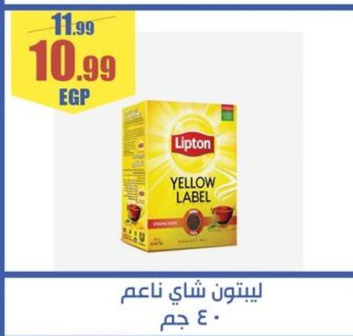 Lipton