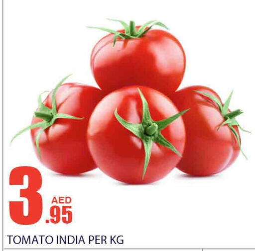  Tomato  in Bismi Wholesale in UAE - Dubai