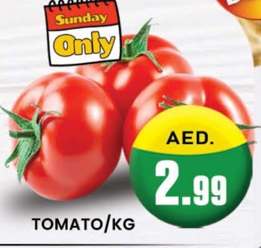  Tomato  in AL MADINA (Dubai) in UAE - Dubai