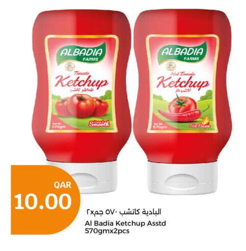  Tomato Ketchup  in City Hypermarket in Qatar - Doha