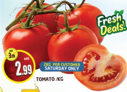  Tomato  in AL MADINA (Dubai) in UAE - Dubai