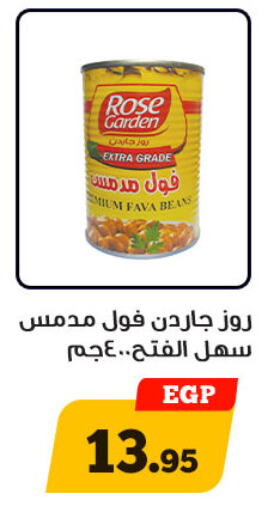  Fava Beans  in Awlad Ragab in Egypt - Cairo