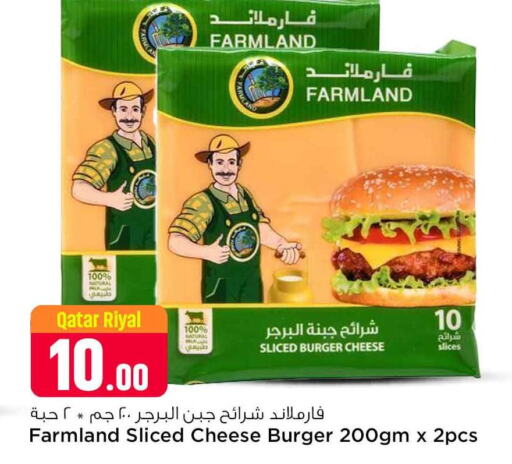  Slice Cheese  in Safari Hypermarket in Qatar - Doha