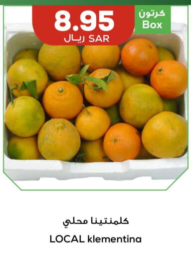    in أسواق أسترا in مملكة العربية السعودية, السعودية, سعودية - تبوك