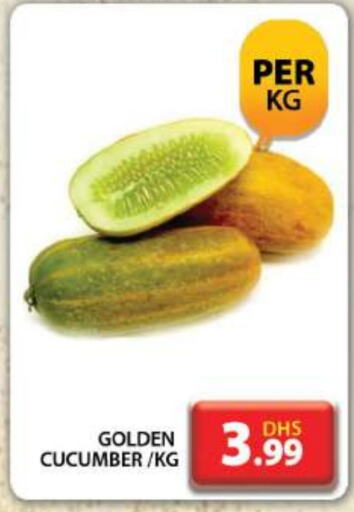  Cucumber  in Grand Hyper Market in UAE - Dubai