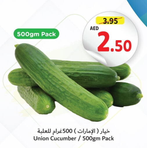  Cucumber  in Umm Al Quwain Coop in UAE - Sharjah / Ajman