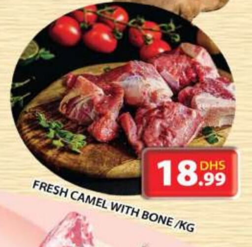  Camel meat  in Grand Hyper Market in UAE - Sharjah / Ajman