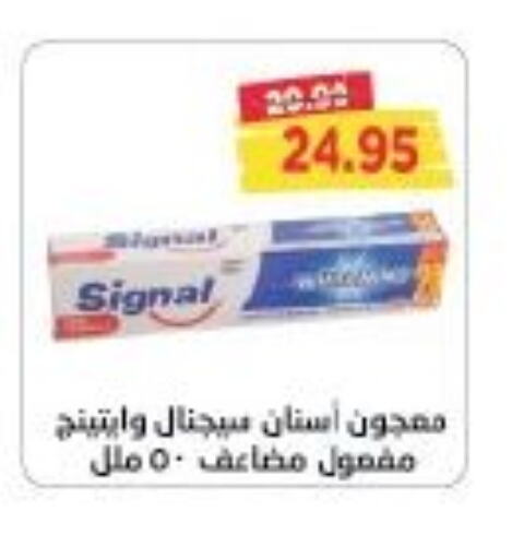 SIGNAL