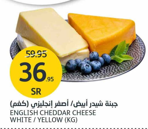  Cheddar Cheese  in AlJazera Shopping Center in KSA, Saudi Arabia, Saudi - Riyadh