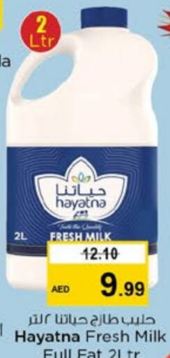 HAYATNA Fresh Milk  in Nesto Hypermarket in UAE - Dubai