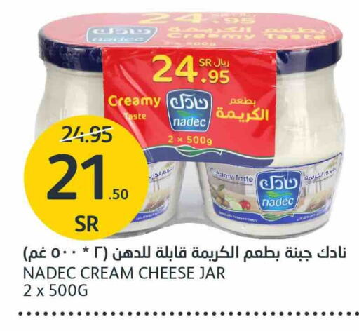 NADEC Cream Cheese  in AlJazera Shopping Center in KSA, Saudi Arabia, Saudi - Riyadh