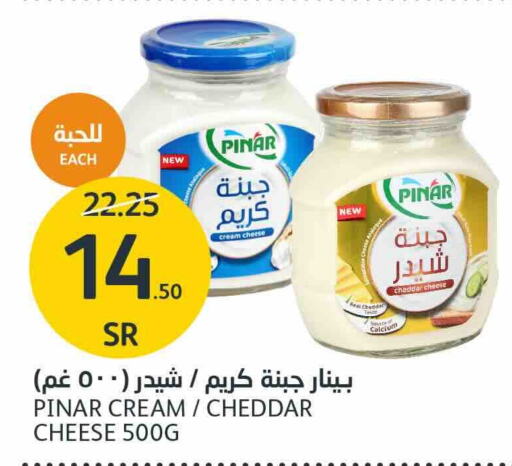 PINAR Cheddar Cheese  in AlJazera Shopping Center in KSA, Saudi Arabia, Saudi - Riyadh