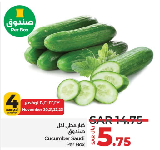  Cucumber  in LULU Hypermarket in KSA, Saudi Arabia, Saudi - Jubail