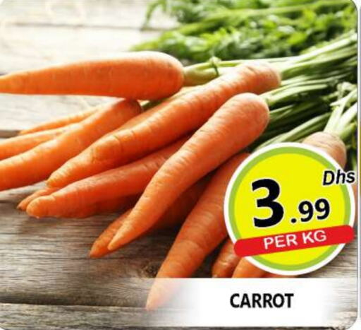  Carrot  in AL MADINA (Dubai) in UAE - Dubai