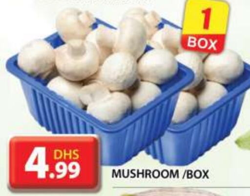  Mushroom  in Grand Hyper Market in UAE - Dubai