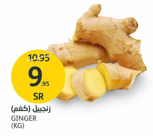  Ginger  in AlJazera Shopping Center in KSA, Saudi Arabia, Saudi - Riyadh