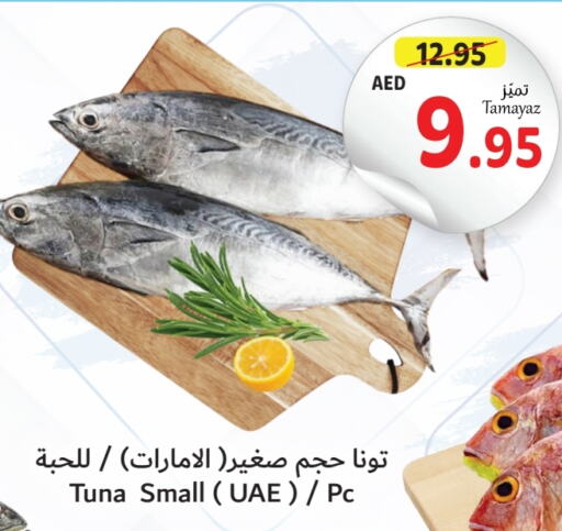  Tuna  in Union Coop in UAE - Dubai