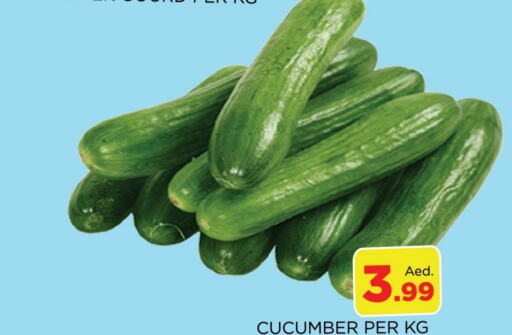  Cucumber  in AL MADINA (Dubai) in UAE - Dubai