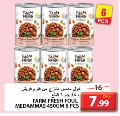  Fava Beans  in Grand Hyper Market in UAE - Sharjah / Ajman