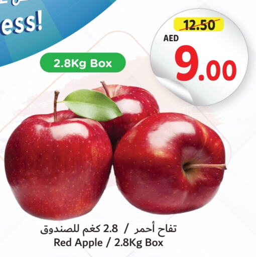  Apples  in Umm Al Quwain Coop in UAE - Sharjah / Ajman