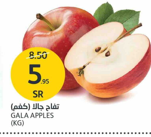  Apples  in AlJazera Shopping Center in KSA, Saudi Arabia, Saudi - Riyadh