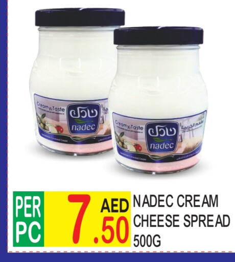 NADEC Cream Cheese  in Dream Land in UAE - Dubai